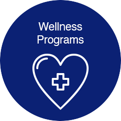  Wellness Programs